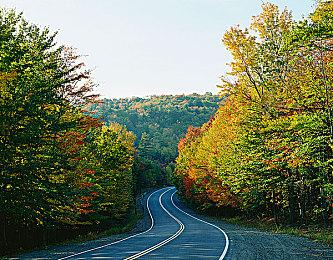 《宝可梦传说：阿尔宙斯》新电视预告 1月28日正式发售